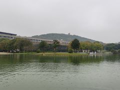 -上海佘山世茂艾美酒店