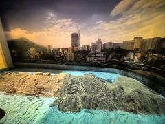 -白鹤梁水下博物馆