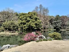 -杭州植物园