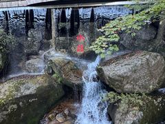 -丹东天桥沟景区