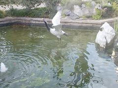 -广富林宰相府酒店·水云间