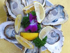 -官塘陈记鱼生·潮汕砂锅粥·牛肉火锅(潮枫路总店)