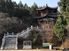 -原山国家森林公园