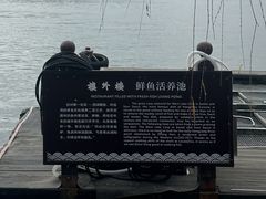 -楼外楼(西湖景区孤山路店)