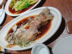 -蓝田印象