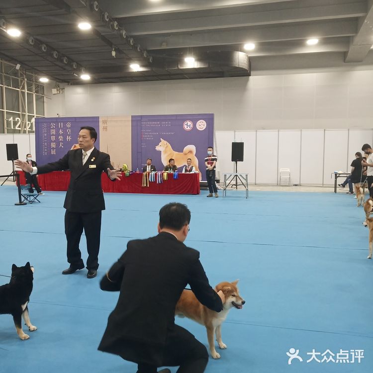 宠物展也太好吸猫撸狗了！[亲亲][亲亲][亲亲]