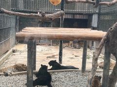 -深圳野生动物园