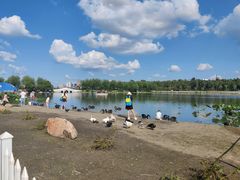 -长春市南湖公园