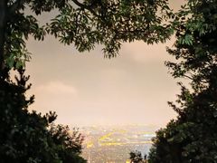 -惠山国家森林公园