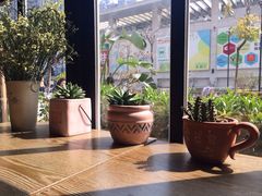 靠窗位-静香HOUSE·全时段融合餐厅(七星欢乐颂店)