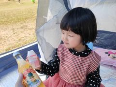 -田心森林公园