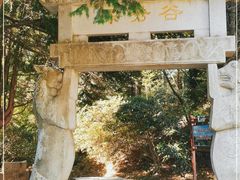 -四明山国家森林公园