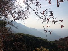 -广州市石门国家森林公园