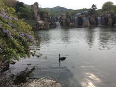 -白马涧龙池景区