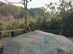 -白鹭湾湿地公园