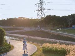-福田红树林生态公园