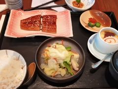 -将军日本餐厅·Shogun(厦门马哥孛罗东方大酒店)