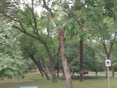 -元大都城垣遗址公园