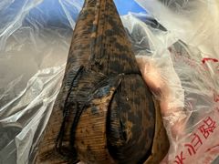 宁波豇豆碱水粽-固海糕团店