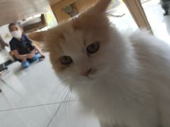 -平行世界·猫咖(首经贸店)