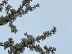 -南开大学(津南校区)