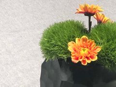 -南堂馆·新川菜(春熙路店)