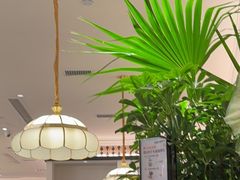 -太琼糟粕醋火锅·海南老爸茶(海棠湾臻选店)