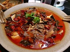 金牌毛血旺-辛香汇·现炒川菜(淮海路百盛店)