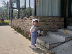 -洪湖家庭农场·团建·露营·会议