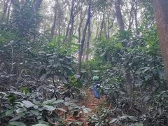 -广州市白云山风景名胜区