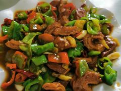 尖椒肥肠-瑜瑜饭馆