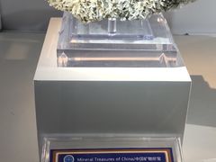 -中国地质大学逸夫博物馆