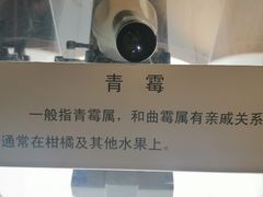 -上海长江河口科技馆