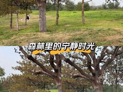 -西安汉城湖景区