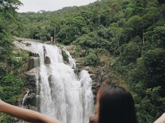 -海南热带雨林国家公园吊罗山景区