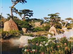 -罗红摄影艺术馆