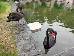 -南宁荔园维景国际酒店·荔园中餐厅