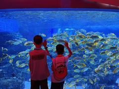 -海合安成都极地海洋公园