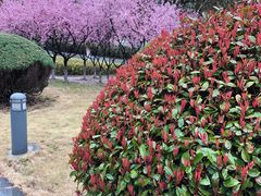 -白塘生态植物园