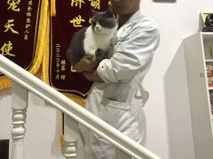 -科道动物医院·急重症中心(万达院)