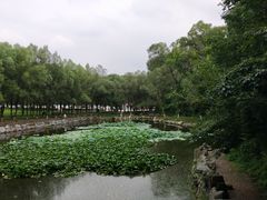 -高尔山公园