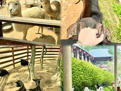-盈香心动乐园