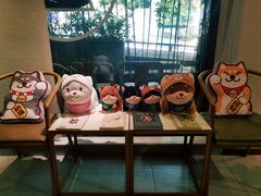 -柴务处·柴犬主题狗咖