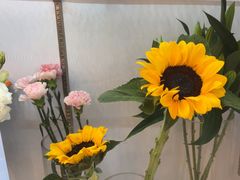 -北边的花店(泛悦城市广场店)