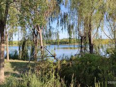 -东郊湿地公园