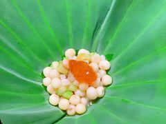 -次第花开素食雅宴