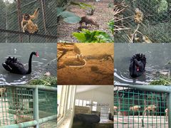 -福州动物园
