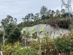 -东莞观音山旅游风景区