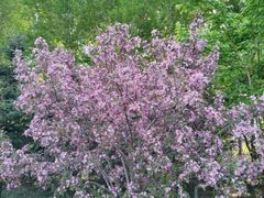 -长春公园(普阳街道)