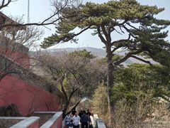 -妙峰山风景名胜区